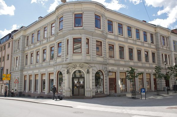 Singles in Skien: view of the city